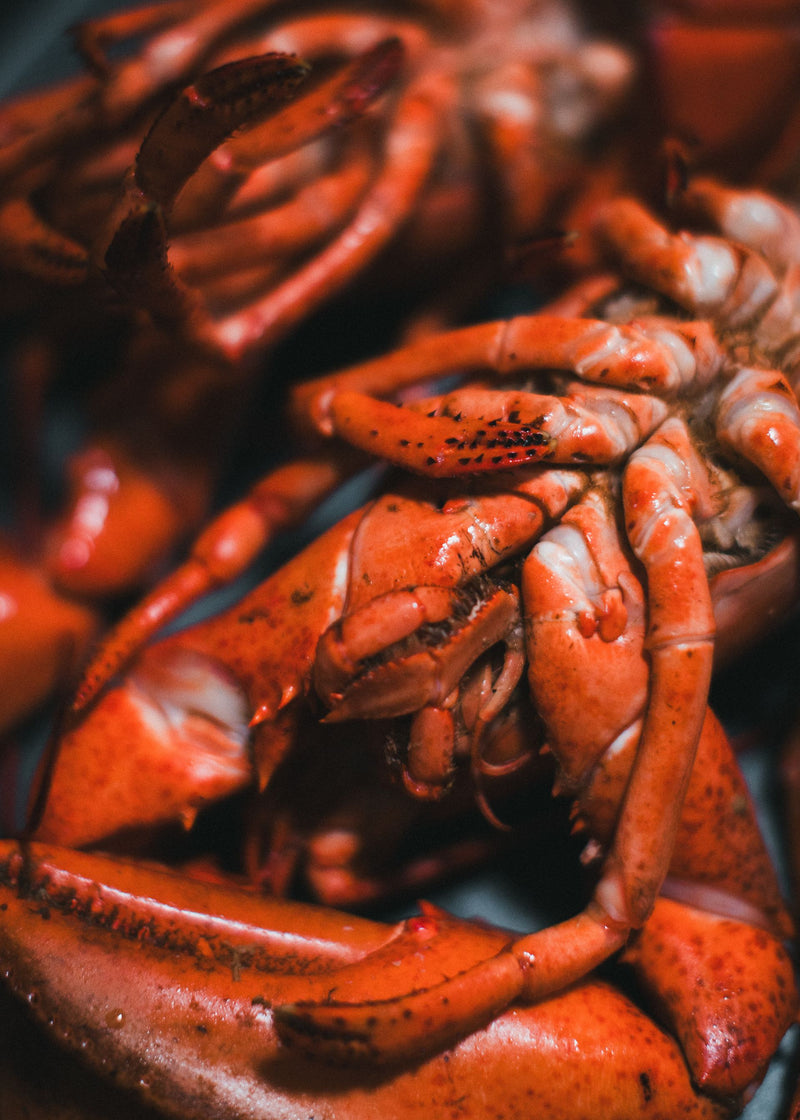 SEAFOOD